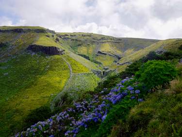 Azores Wild Nature