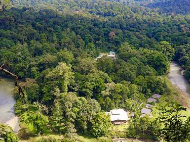 Rainforest Adventure in Borneo