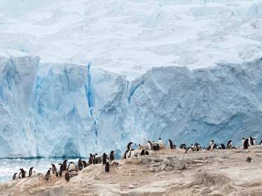 Classic Antarctica from Chile