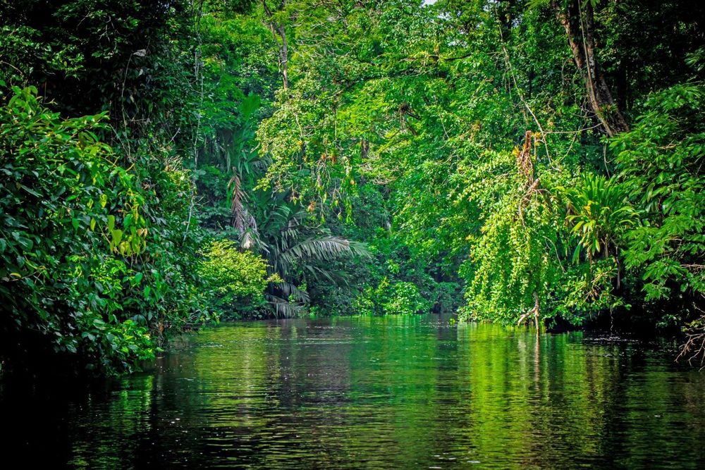 Tortuguero Canal, Costa Rica © Kenneth Vargas Torres/Shutterstock