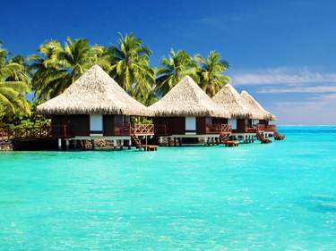 Luxury Sri Lanka and The Maldives