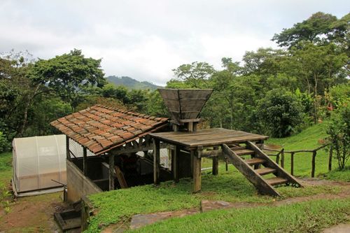 coffee-farm-matagalpa-nicaragua-shutterstock_675200617