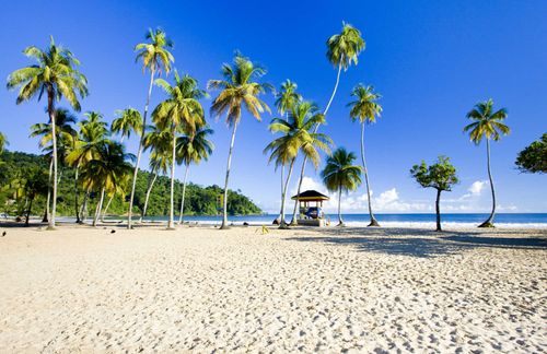 Maracas Bay, Trinidad © Richard Semik/Shutterstock