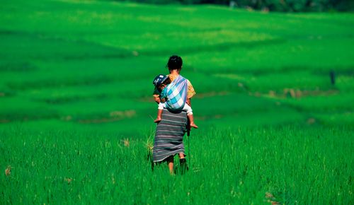 Mother and child in the rice terraces of Ruteng, Flores, Indonesia, Southeast Asia