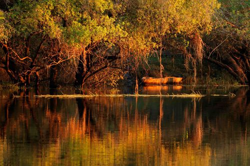 Trees and wooden boat reflected in water at sunset, Zambezi river, Namibia © EcoPrint/Shutterstock