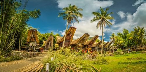 Things Not To Miss in Indonesia: Tongkonans surrounded by palms and greenery in Kete Kesu, Toraja region in Sulawesi, Indonesia.