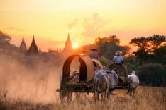 Bagan transport local, Myanmar, Burma @ Shutterstock