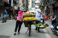 bike-vendor-fruits-hanoi-vietnam-shutterstock_1173651739