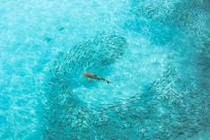 Black tip Reef shark in Maldives © Ciril Monteiro/Shutterstock