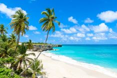 Bottom Bay, Barbados - Paradise beach on the Caribbean island of Barbados © Simon Dannhauer/Shutterstock
