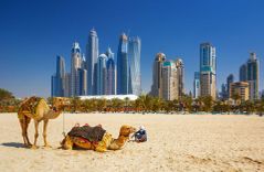 Camels at the beach in front of Dubai city line, United Arab Emirates © Rasto SK/Shutterstock