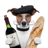 dog-baguette-beret-france-shutterstock_112586528