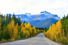 The road 93 "Icefield Parkway" in Autumn Jasper National park, Canada © i viewfinder/Shutterstock