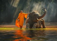 monk-elephant-thailand-shutterstock_539708797