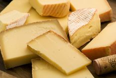 Cheese collection © hlphoto/Shutterstock
