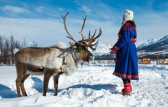 sami-reindeer--norway-shutterstock_1060031279
