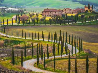 Wine and food in Tuscany